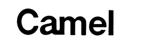 CAMEL logo