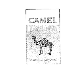 CAMEL logo