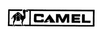 CAMEL logo