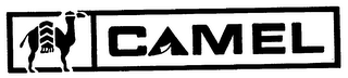CAMEL logo