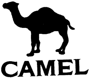 CAMEL logo