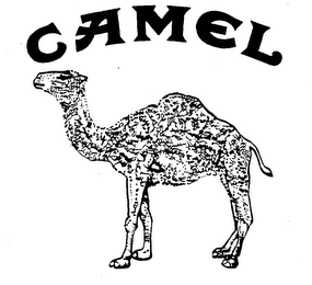 CAMEL logo