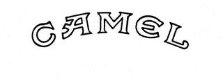 CAMEL logo
