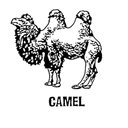 CAMEL logo