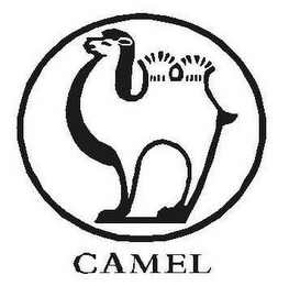 CAMEL logo