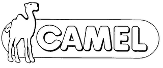 CAMEL logo