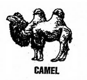 CAMEL logo