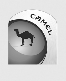 CAMEL logo