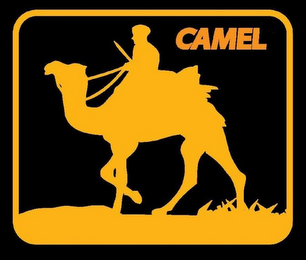CAMEL logo