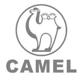 CAMEL logo