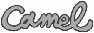 CAMEL logo