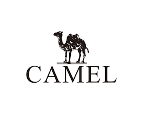 CAMEL logo