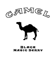 CAMEL BLACK MAGIC BERRY logo