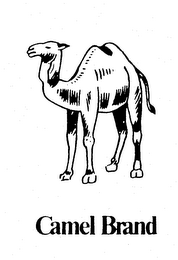CAMEL BRAND logo