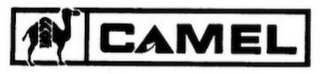 CAMEL CUSTOM CANVAS SHOP logo