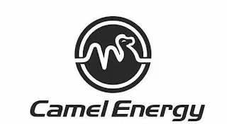 CAMEL ENERGY logo