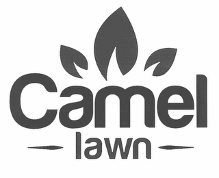 CAMEL LAWN logo