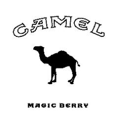 CAMEL MAGIC BERRY logo