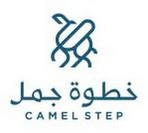 CAMEL STEP logo