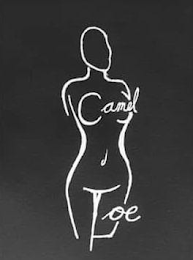 CAMEL TOE logo