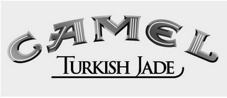 CAMEL TURKISH JADE logo