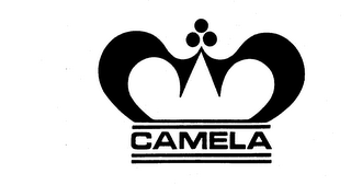 CAMELA logo