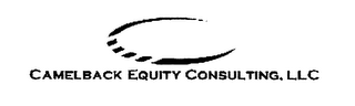 CAMELBACK EQUITY CONSULTING. LLC logo