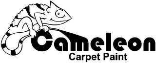 CAMELEON CARPET PAINT logo