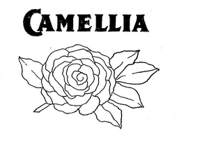 CAMELLIA logo
