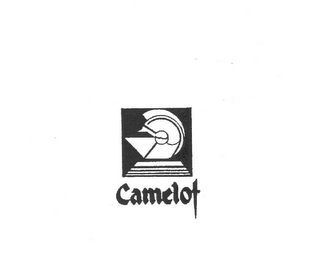 CAMELOT logo