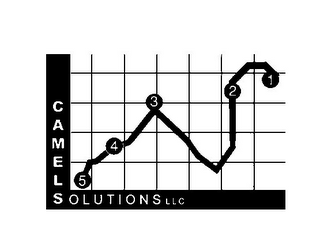 CAMELS OLUTIONS LLC 1 2 3 4 5 logo