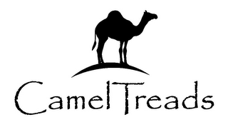 CAMELTREADS logo