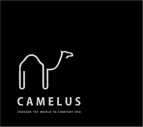CAMELUS CROSSED THE WORLD TO COMFORT YOU logo
