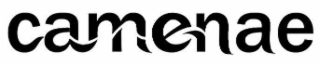 CAMENAE logo