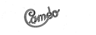 CAMEO logo