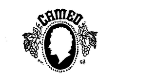 CAMEO logo