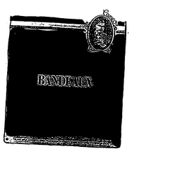 CAMEO logo