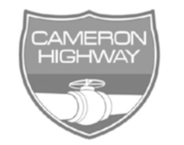 CAMERON HIGHWAY logo