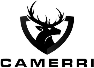 CAMERRI logo