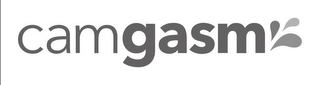 CAMGASM logo