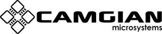 CAMGIAN MICROSYSTEMS logo