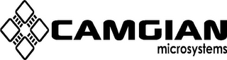 CAMGIAN MICROSYSTEMS logo