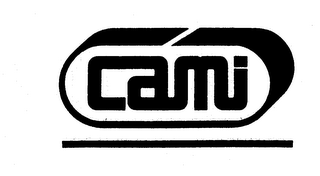 CAMI logo