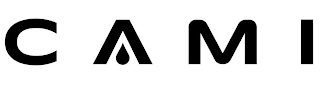 CAMI logo