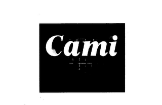CAMI NET logo