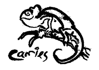 CAMIES logo