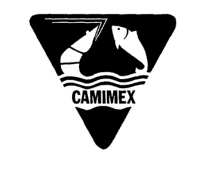 CAMIMEX logo