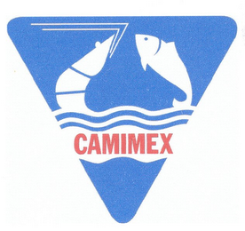 CAMIMEX logo