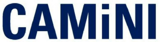 CAMINI logo