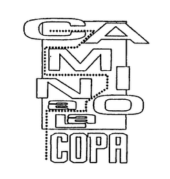CAMINO A LA COPA logo